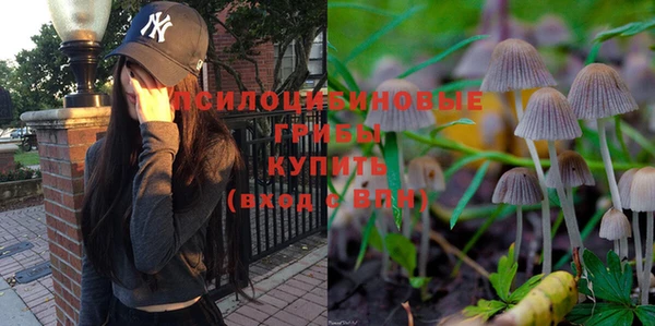шишки Алексеевка