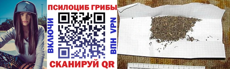 Псилоцибиновые грибы мицелий  цены   Юрьев-Польский 